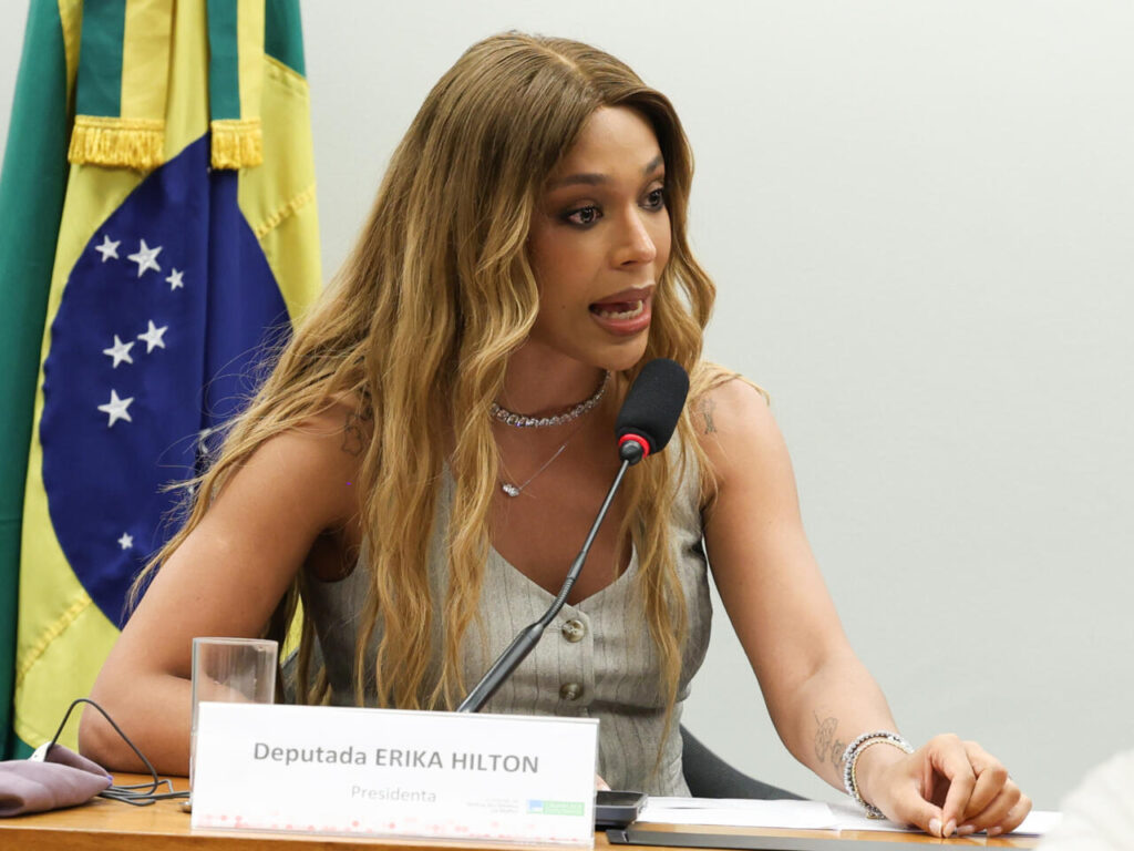 Deputada Erika Hilton durante Comissão de Defesa dos Direitos da Mulher - Foto: Lula Marques/Agência Brasil